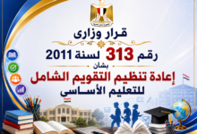 قرار وزاري 313 لسنة 2011