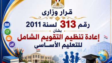 قرار وزاري 313 لسنة 2011